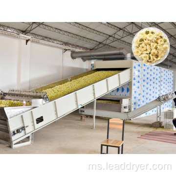 Mesin pengering tali pinggang pelbagai lapisan sayur-sayuran